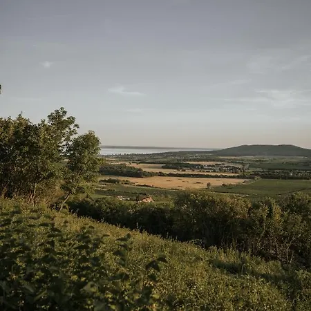 Pince A Hegyen * Balatoncsicso