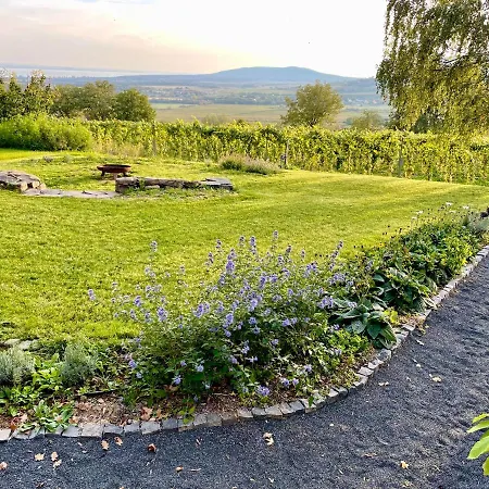 Casa vacanze Pince A Hegyen Balatoncsicso